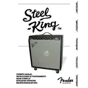 Fender Steel-King 2289500000 120V 60Hz USA Amplifier manual cover