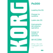 KORG Pa300 Brazilian Edition manual cover