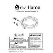 Realflame CT0003LP