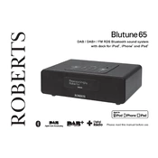 Roberts Blutune 65 DAB 2014 manual cover