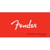 Fender 2013 Electric Guitar Guitar manual cover