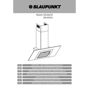 Blaupunkt 5DL66250 manual cover