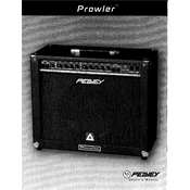 Peavey Prowler Amplifier manual cover