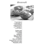 Brandt BPI6464B Hob manual cover