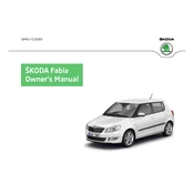 Škoda Fabia 2012 Car manual cover