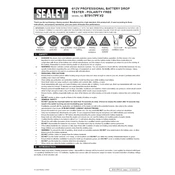 Sealey BT91-7FP.V2 Tester manual cover