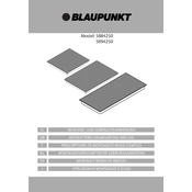 Blaupunkt 5II84250 manual cover