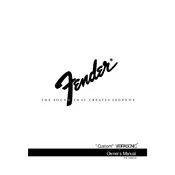 Fender Custom Vibrasonic 021-5200-000 120V Amplifier manual cover