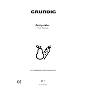 Grundig VitaminZone GR33KN4686DVW Refrigerator
