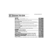 Casio YA-G30 3D Glass manual cover