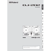 Roland Serato DJ-202