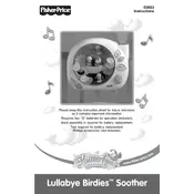 Fisher Price Mattel Flutterbye Dreams Lullabye Birdies Soother G2623 Toy manual cover