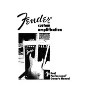 Fender Dual Professional 081-1035-000 240V Amplifier manual cover