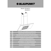 Blaupunkt 5DL66251 manual cover