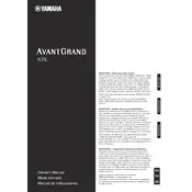 Yamaha Avantgrand N3X Piano