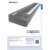 Roland A-88 MKII