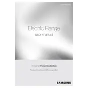 Samsung Flex Duo NE58H9970WS Cooker