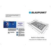 Blaupunkt 5GH11BB51 manual cover