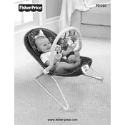 Fisher Price Mattel Comfy Time T2520 Bouncer manual cover