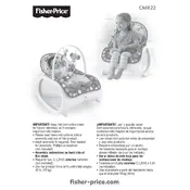 Fisher Price Mattel Infant-to-Toddler Flowery Chevron CMR22 Rocker manual cover