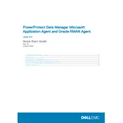 Dell PowerProtect 19.6 Data Manager