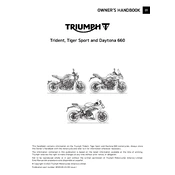 Triumph Daytona 660 2024 Motorcycle manual cover