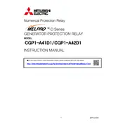 Mitsubishi CGP1-A41D1 Relay manual cover