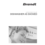 Brandt DYS500WE1 Dishwasher manual cover