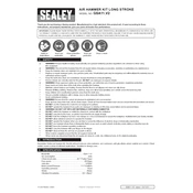 Sealey GSA11.V2 Hammer manual cover