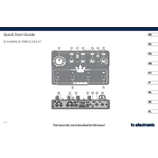 TC Electronic FLASHBACK TRIPPLE DELAY manual cover