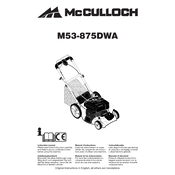 McCulloch M53-875DWA