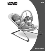 Fisher Price Mattel Soothe n Play L1925 Bouncer manual cover