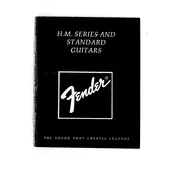 Fender 25-4300 Standard Stratocaster Guitar manual cover