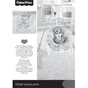 Fisher Price Mattel 2-in-1 Deluxe Cradle n Swing FHW45 Swing manual cover