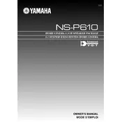 Yamaha NS-P610 Speaker manual cover