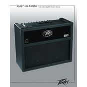 Peavey 6506 212 Combo Amplifier manual cover