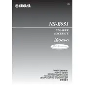 Yamaha NS-B951 Speaker manual cover