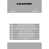 Blaupunkt 5DL66751 manual cover