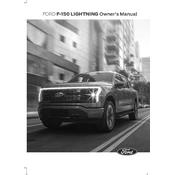 Ford F-150 Lightning 2022 manual cover