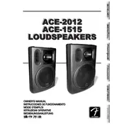 Fender ACE-1515 071-1515-000 Speaker manual cover