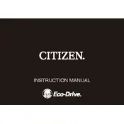 Citizen H990 Watch