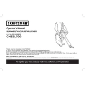 Craftsman CMEBL700 Blower manual cover