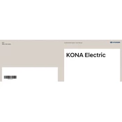 Hyundai Kona EV Multimedia System AVN 2019 Electric Car manual cover