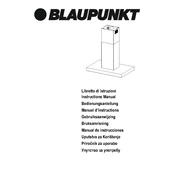 Blaupunkt 5DB99450 manual cover