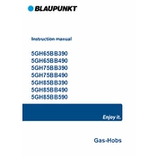 Blaupunkt 5GH65BB390 manual cover