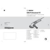 Bosch 0 601 7D0 160 Grinder manual cover