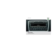 Škoda Superb II Radio Swing 2011 Car manual cover