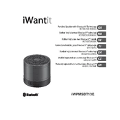 iWantit iWPMSBT13E manual cover