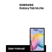 Samsung Galaxy Tab S6 Lite Wi-Fi SM-P610NZAEXAR Tablet