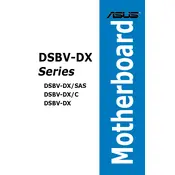 ASUS DSBV-DX Motherboard manual cover